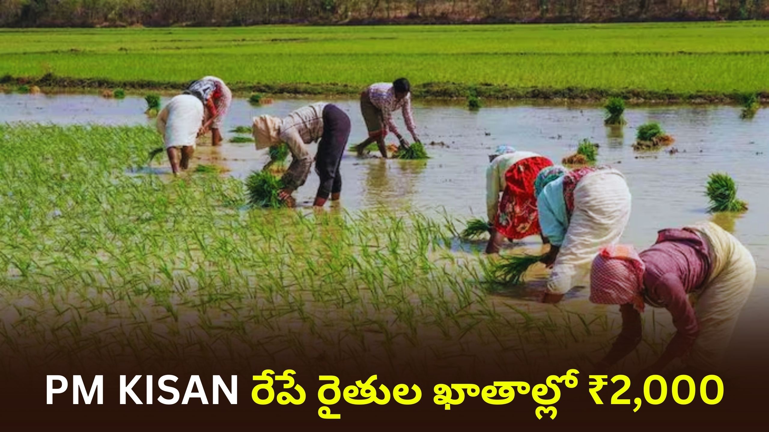 PM KISAN: రేపే రైతుల ఖాతాల్లోకి ₹2,000 | 9 కోట్ల మందికి గుడ్ న్యూస్!